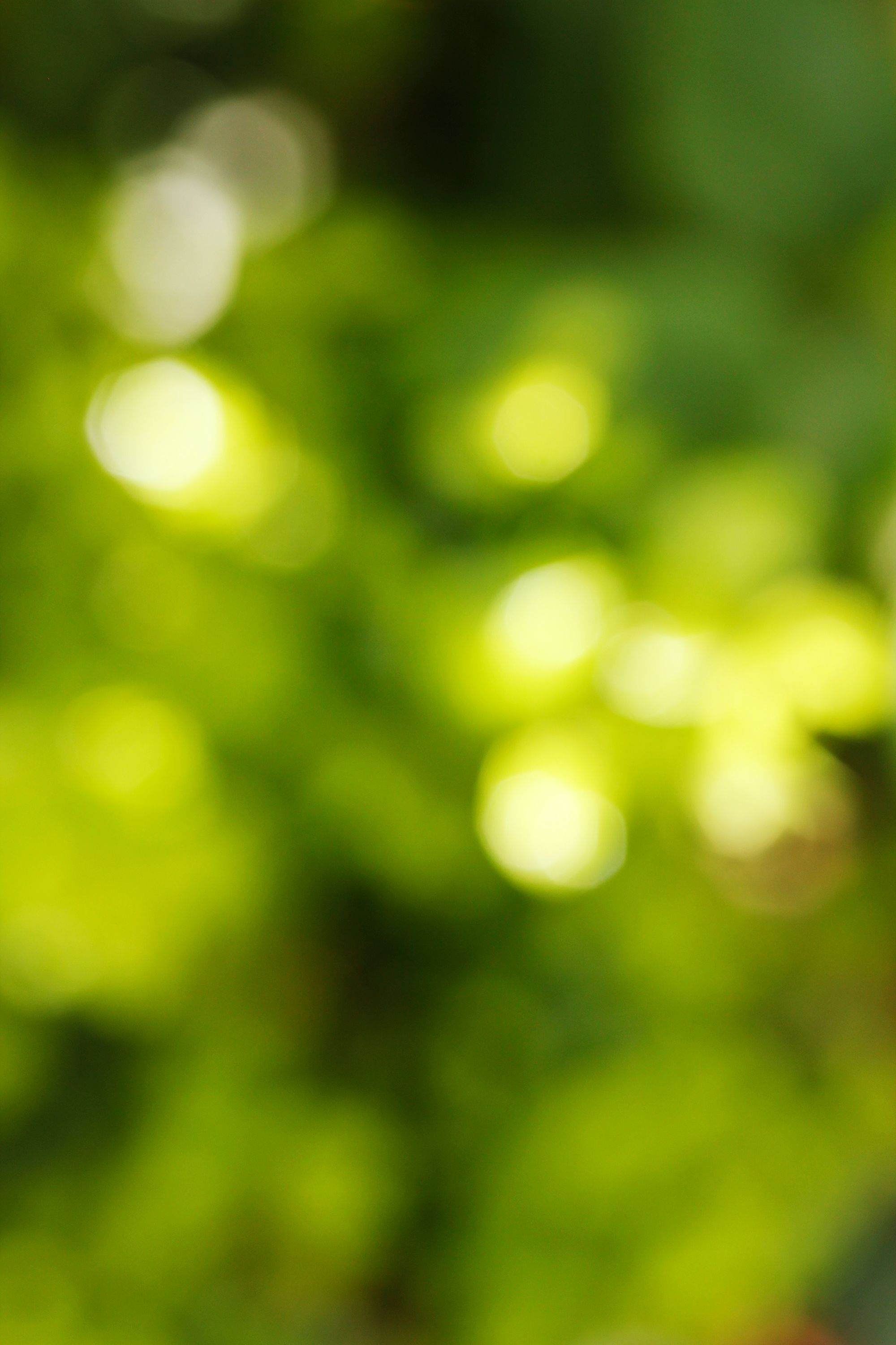 Featured image of post Blur Background Hd Green