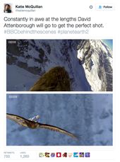 Featured image of post David Attenborough On Bird Meme