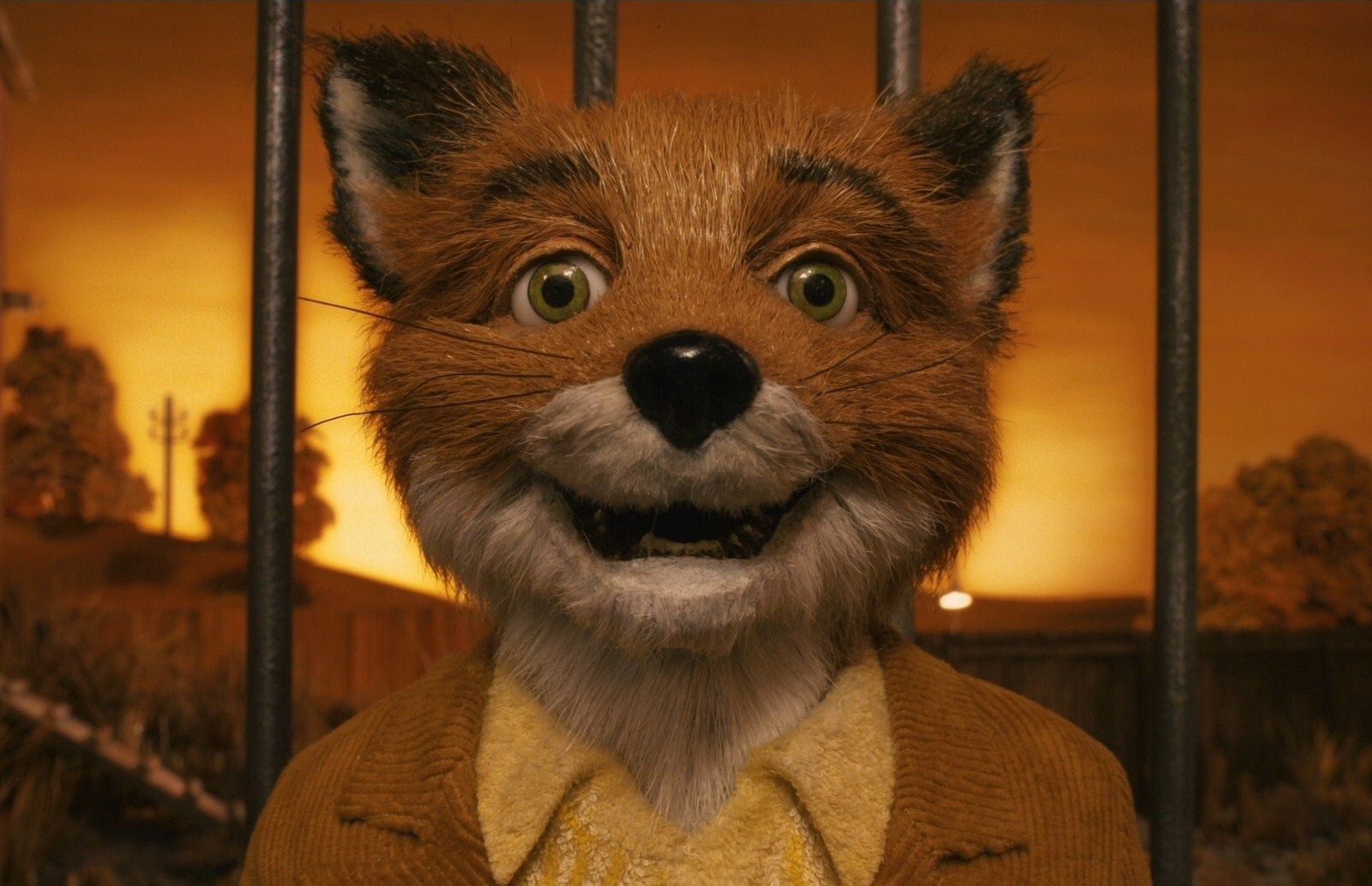 Featured image of post Fantastic Mr Fox Gif