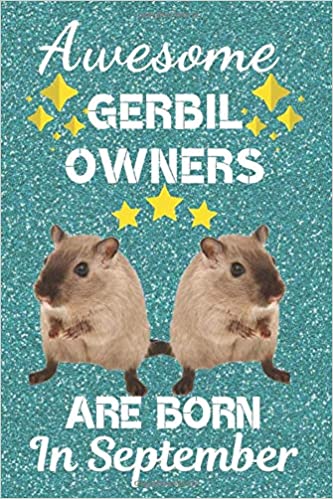 Featured image of post Gerbil Gifts