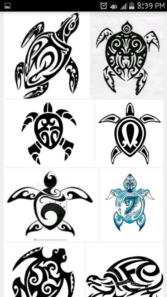 Featured image of post Hawaiian Tribal Turtle Tattoo Designs