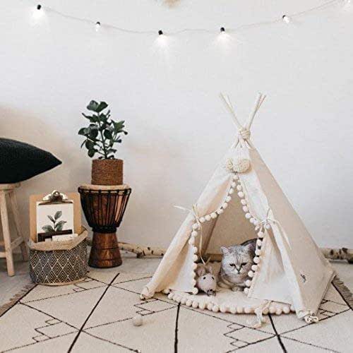 Featured image of post Kitty Teepee