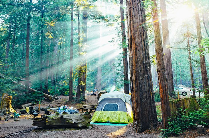 Featured image of post Pictures Of Big Sur Campground