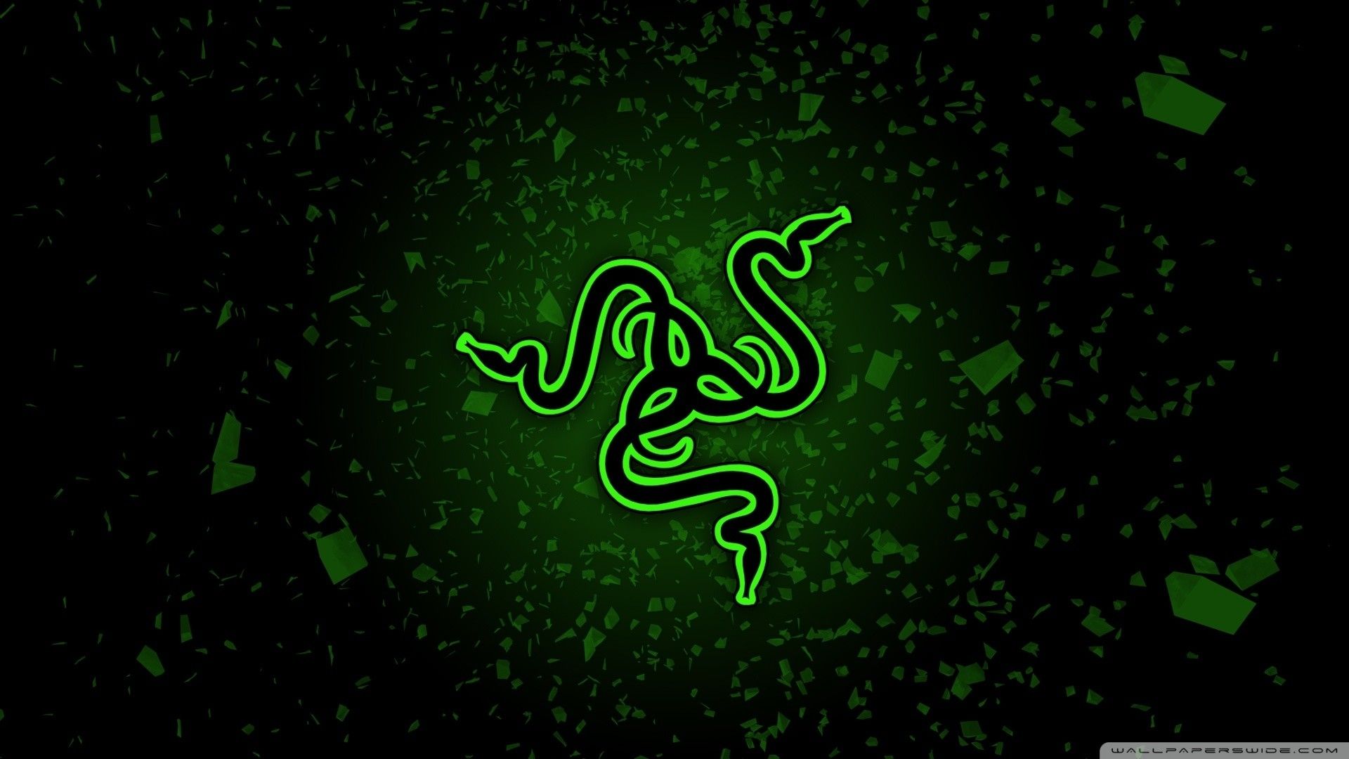 Featured image of post Razer Hintergrundbild 1920X1080