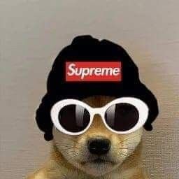 Featured image of post Supreme Dog With Hat Meme Anime