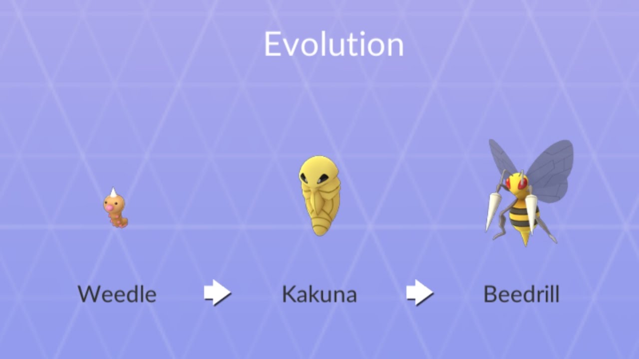 Featured image of post What Does Kakuna Evolve Into Pokemon Go